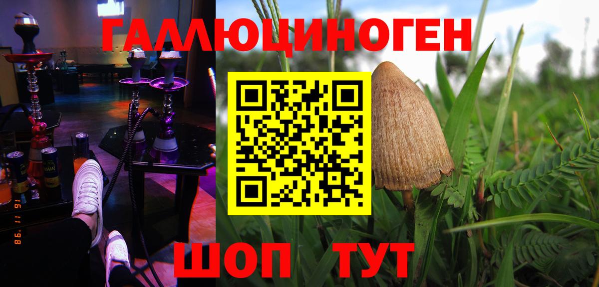 Галлюциногенные грибы MAGIC MUSHROOMS  Вход с VPN  Малоярославец 