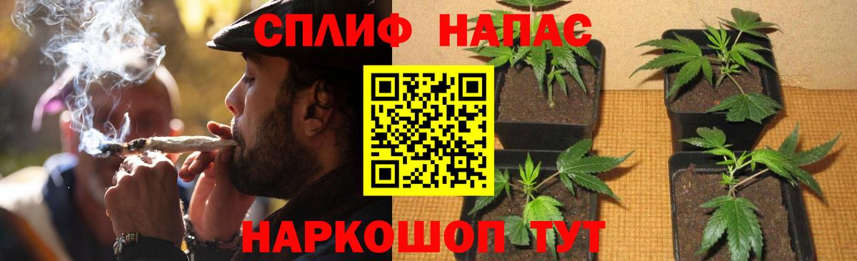 МАРИХУАНА Ganja  Конопля Ganja  Вход с VPN  Малоярославец  Шишки марихуана Ganja  Шишки марихуана индика 